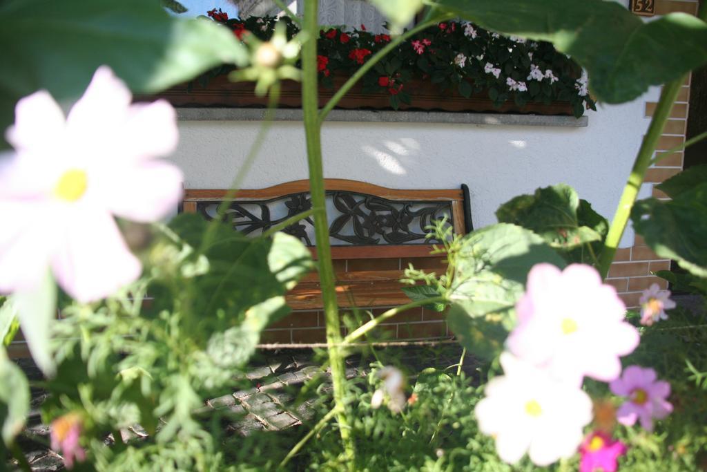 Hotel - Restaurant Berghof Berghausen  Екстериор снимка